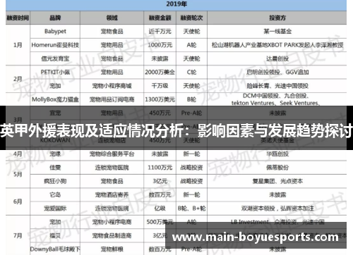 英甲外援表现及适应情况分析：影响因素与发展趋势探讨