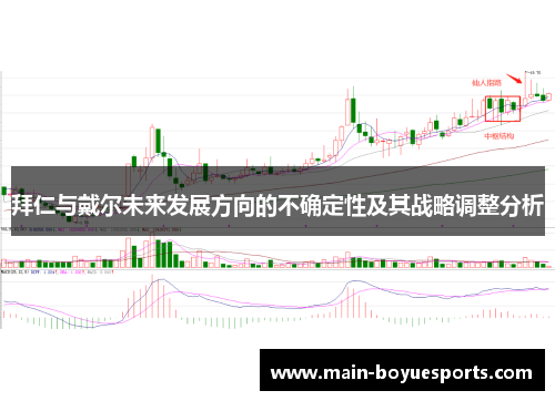 拜仁与戴尔未来发展方向的不确定性及其战略调整分析 拜仁与戴尔未来发展方向的不确定性及其战略调整分析
