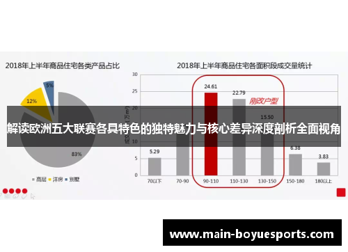 解读欧洲五大联赛各具特色的独特魅力与核心差异深度剖析全面视角